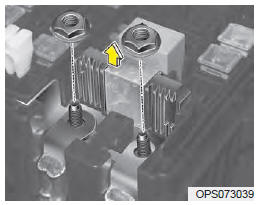 Fusible principal