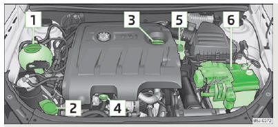 Skoda Roomster. Fig. 115 Moteur diesel 1,6 l/77 kw